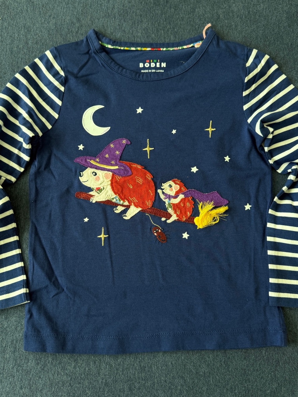 Mini Boden Appliqué
Long Sleeve Halloween Hedgehog Shirt 5-6y